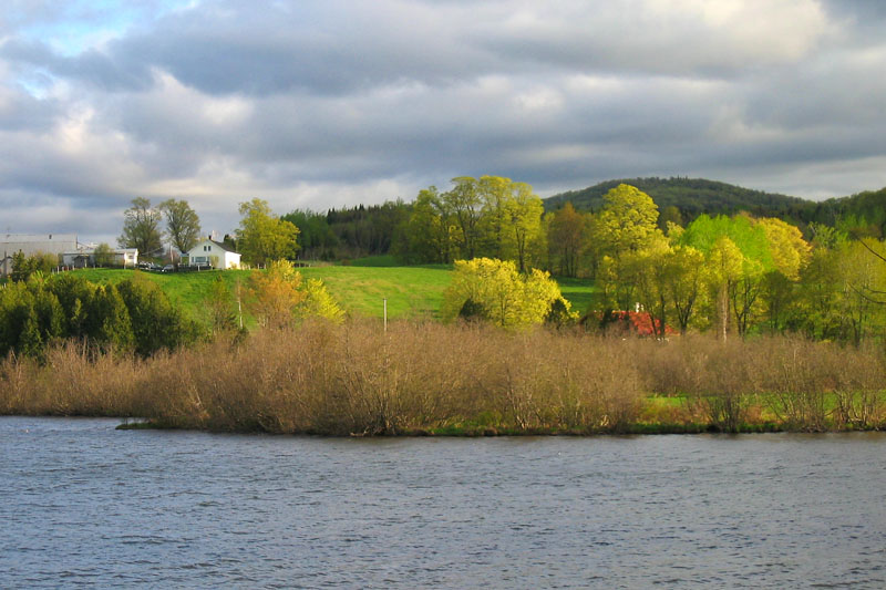 10th place <br>The Field  by Rich
