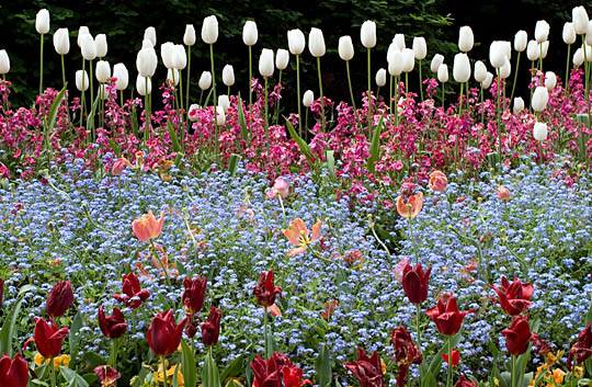 <b>3rd place</b><br> Layers of May by Brent