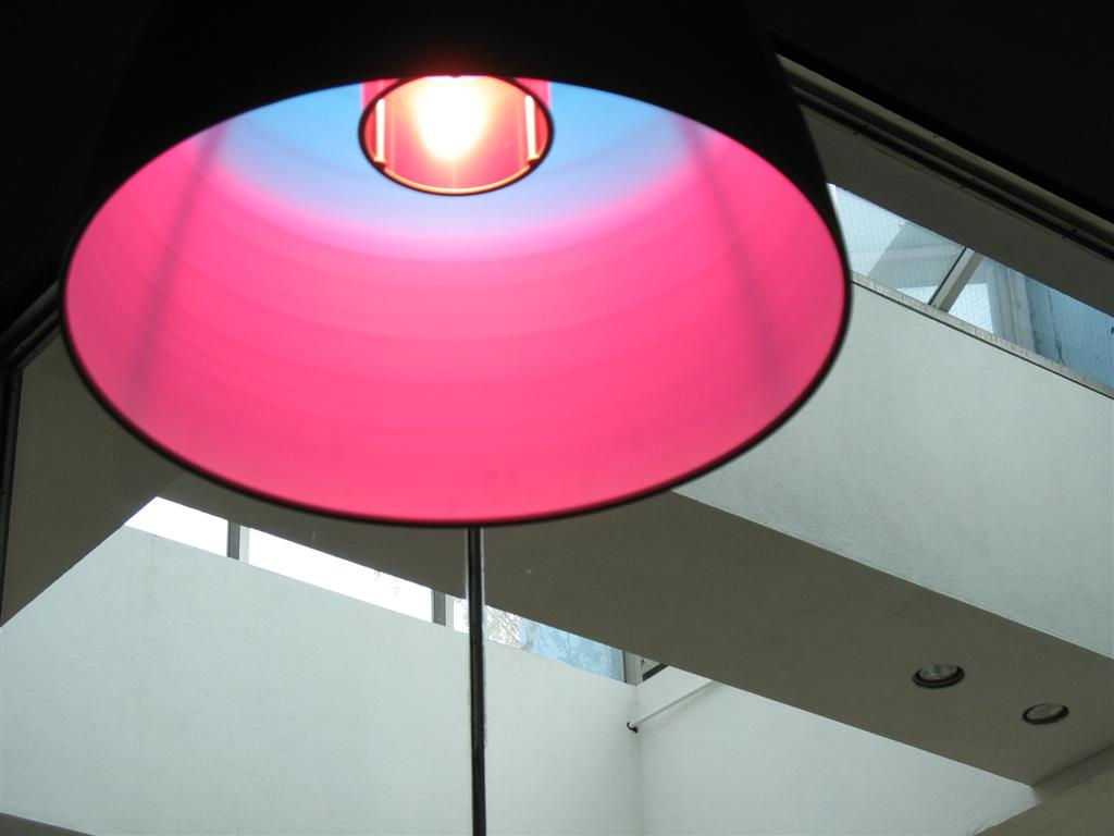 Pink and blue light