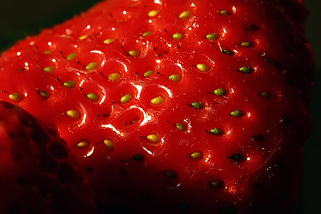 * red