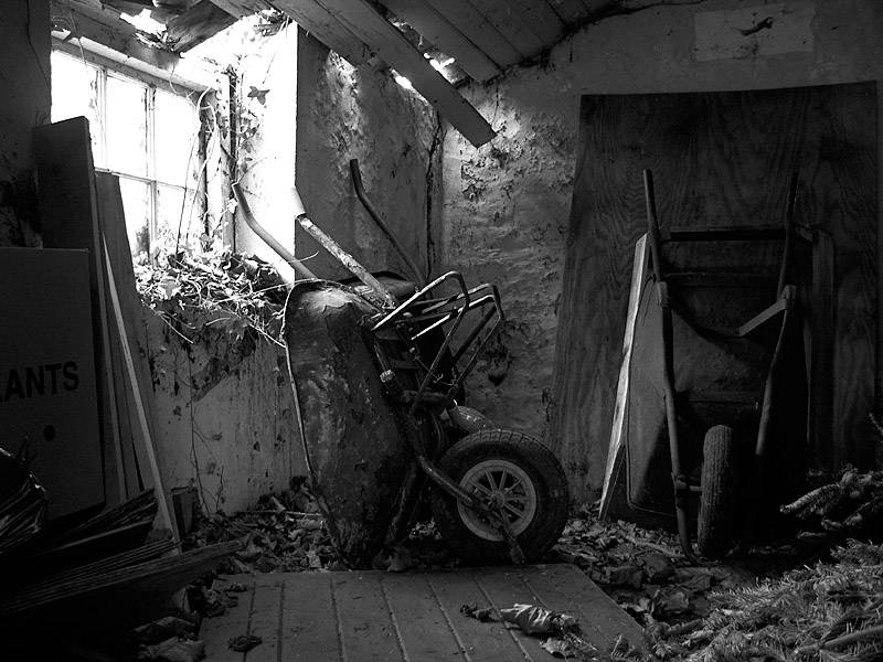 6th<br>Old shed *<br>by Rose
