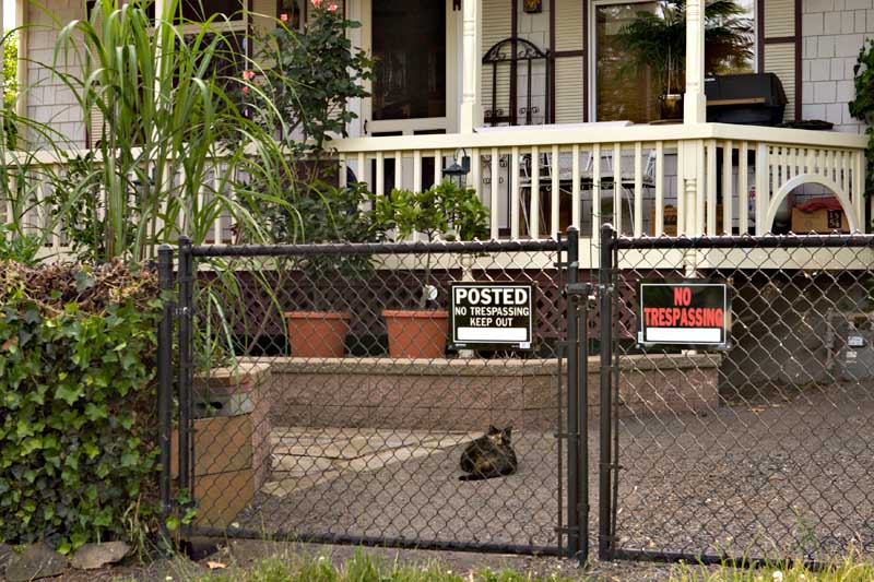 Keep Out! *