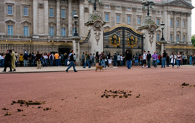 God Save the Queen!*