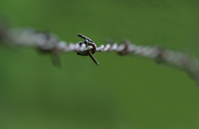 8th<br>Barbed *<br>by elips