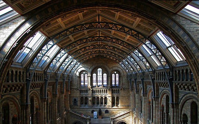 <b>2nd (tie)</b><br>NHM Atrium 1 * <br> by b.c.