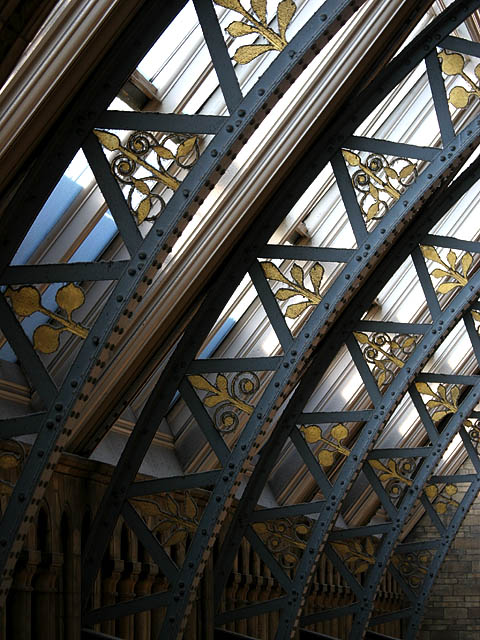 NHM Atrium 2 *