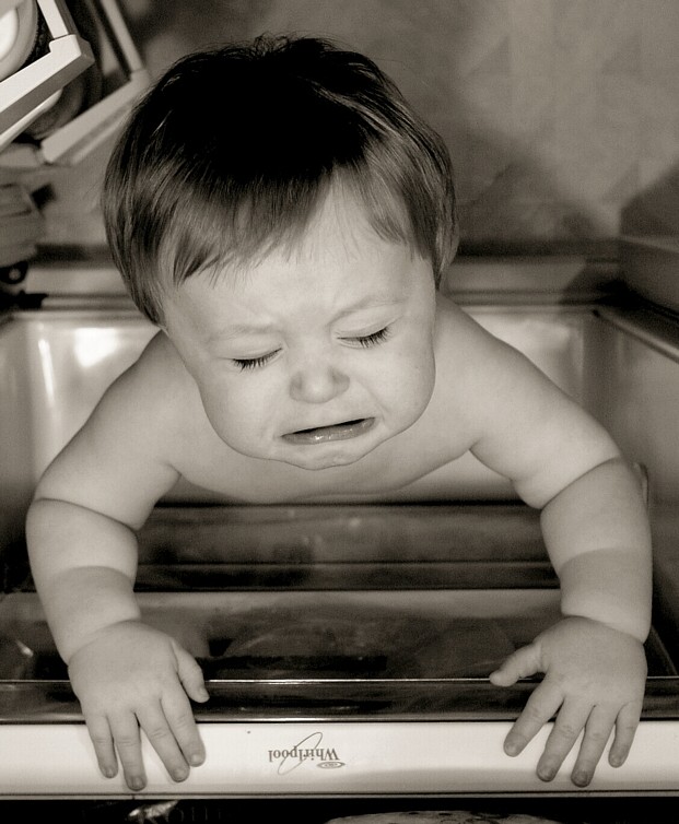 Exploring the Fridge 3 *