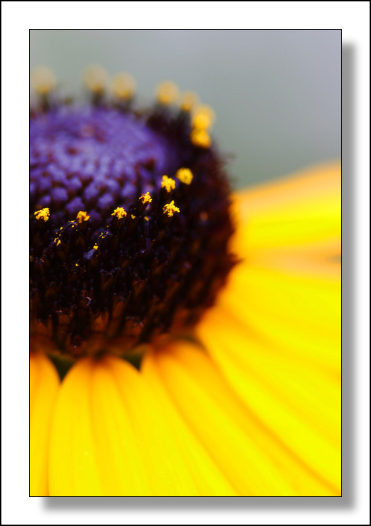 <b>5th</b><br>ON<br> by Matt*