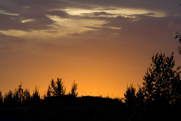 Sunset over Nosehill 3