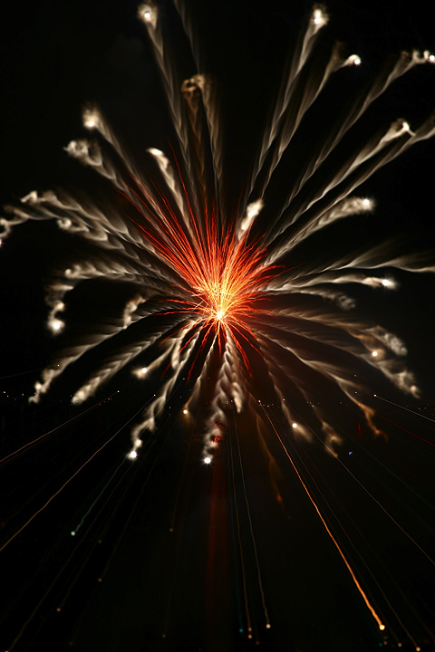 Dandelion Seed of Light *