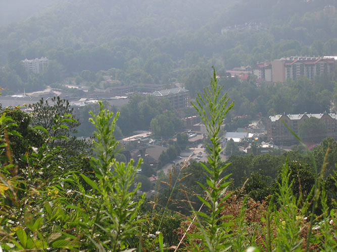 Looking down into Gatlinburg, Tenn. *