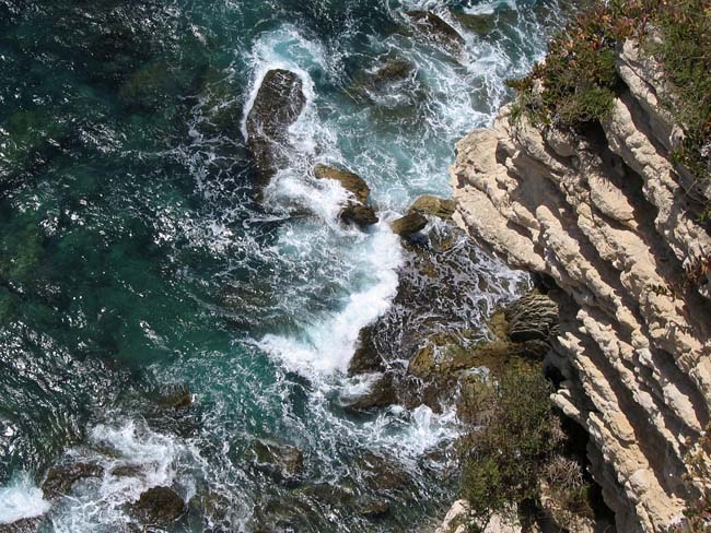 Corsica*