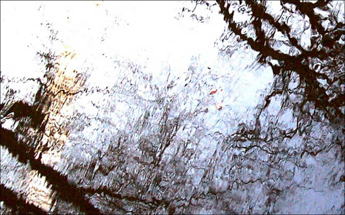 puddle *
