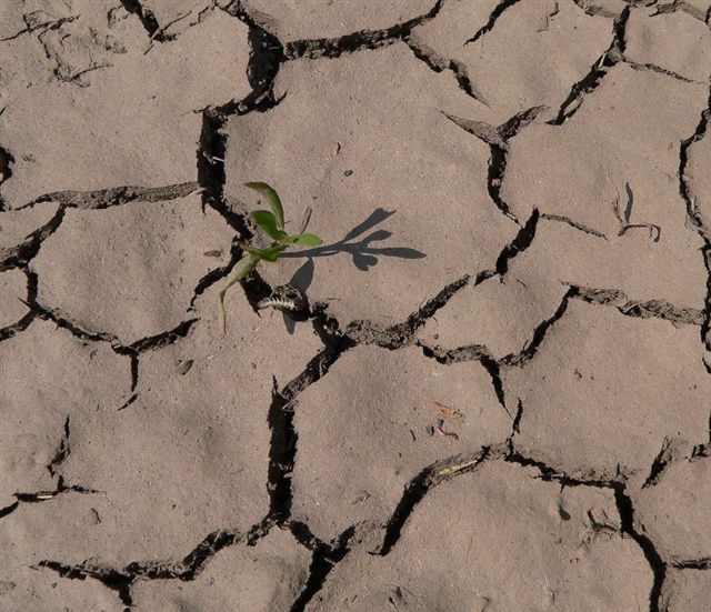 drought*