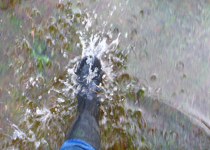 Splish splash, i was having a bath