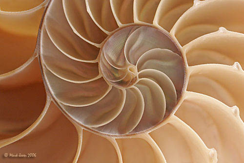 <b>3rd<br></b>Chamber Made<br>by Markjay