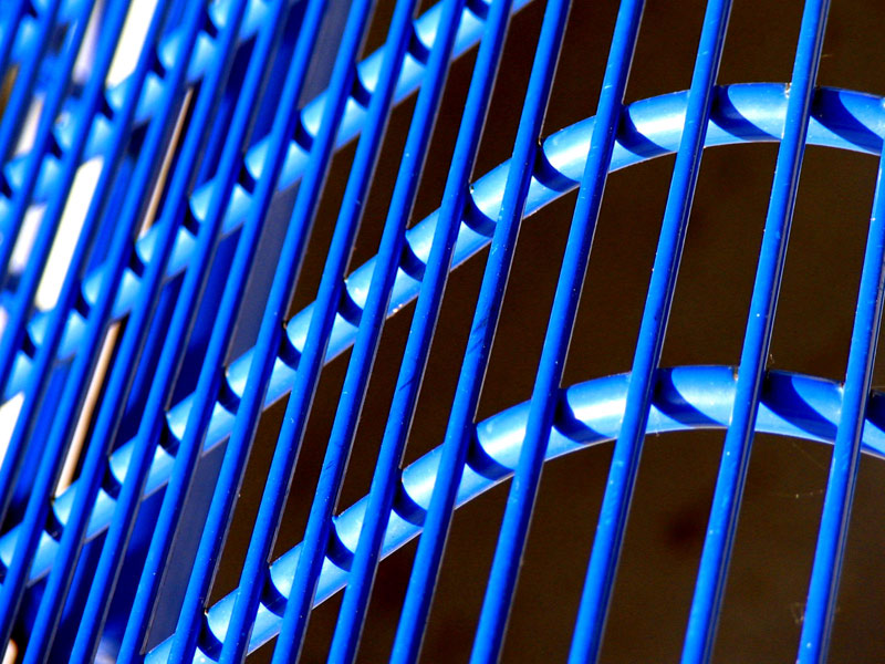 blue too *