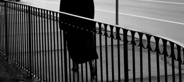 Fence *