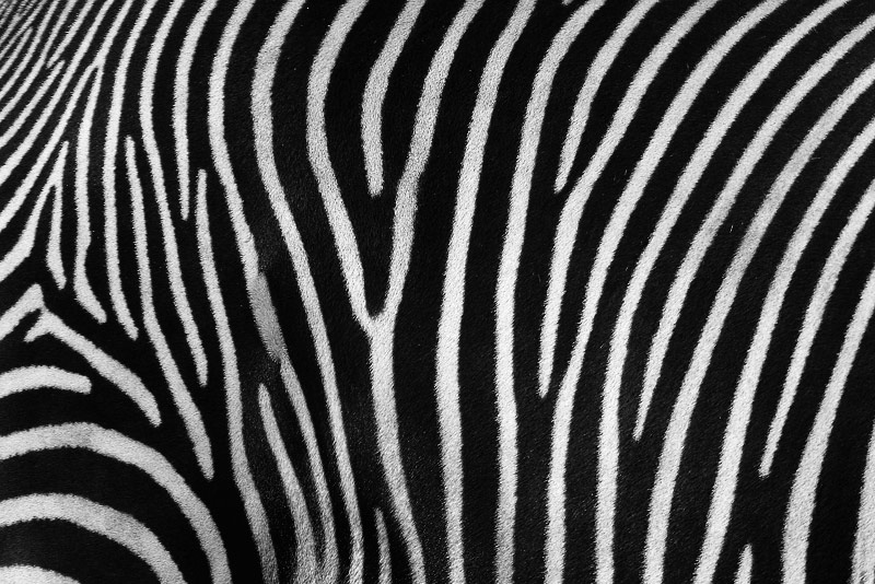 ...and stripes*