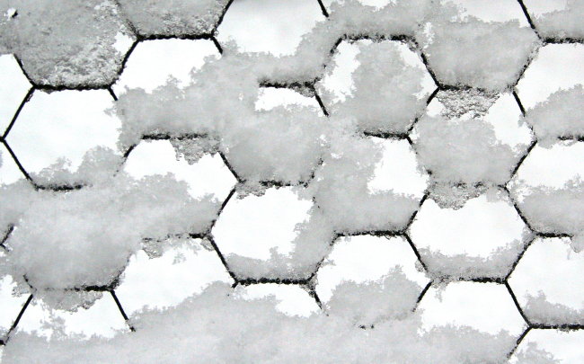 Snow Grid