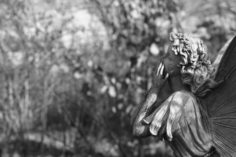 angel