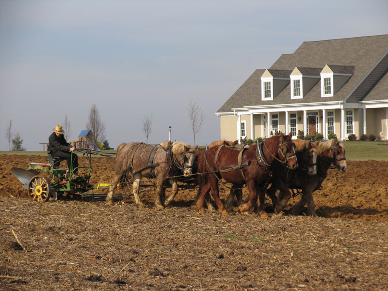 6th Place Plowing By Sueanne