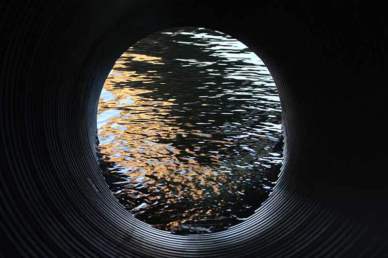 When you drink the water, remember the spring