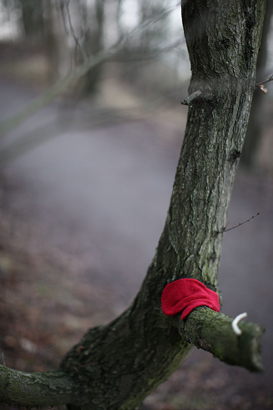 The Mystery of the Missing Red Mitten