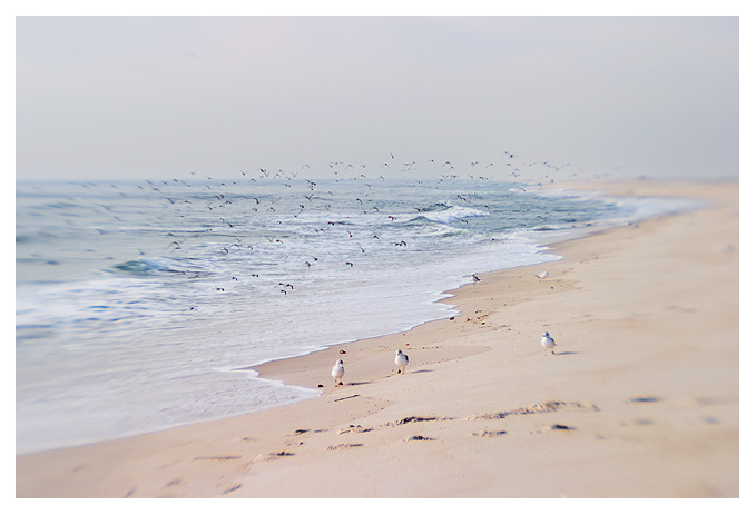 Jones Beach
