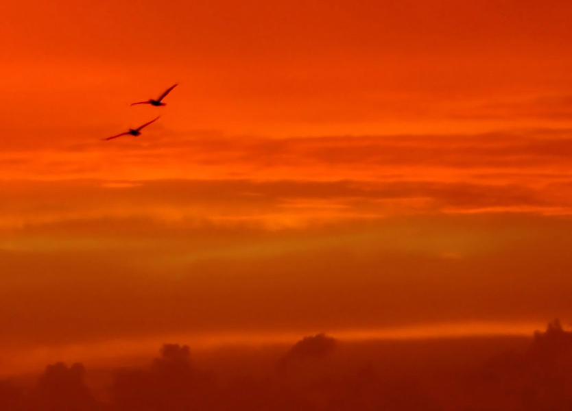 First in Flight