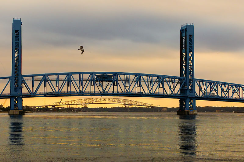 Bird and Bridges
