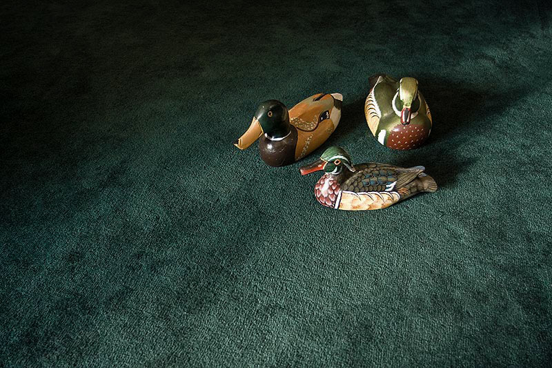 rare carpet ducks