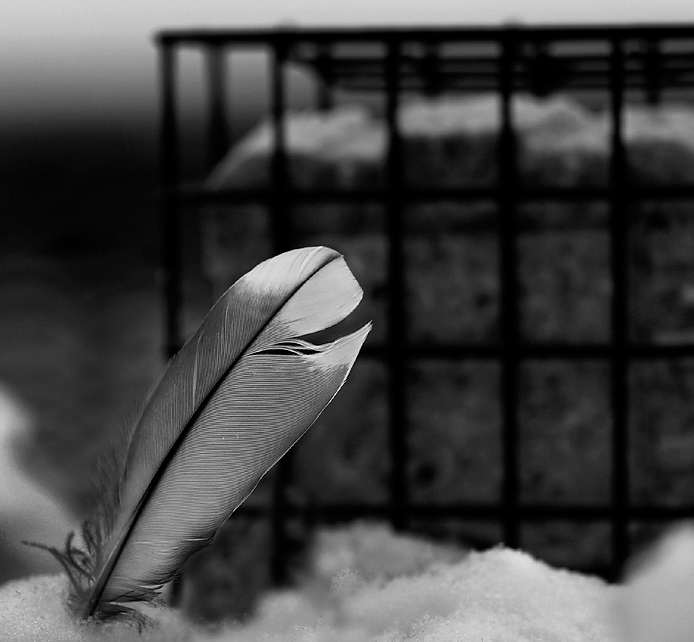 Evidence Left Behind