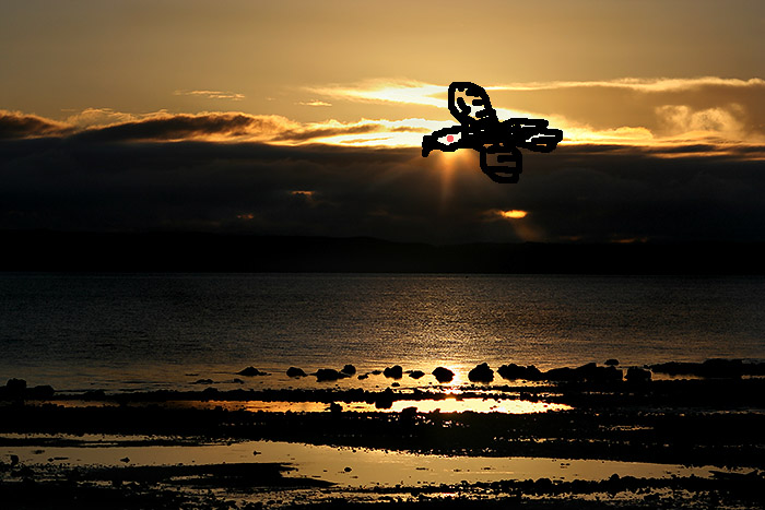 Hunting Bird