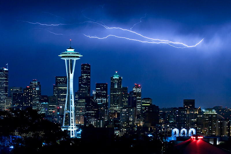 2nd Place<br>Quick as Lightning<br>by Brent