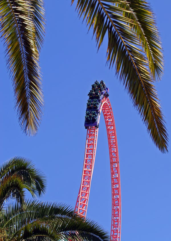 9th - Top of the Curve