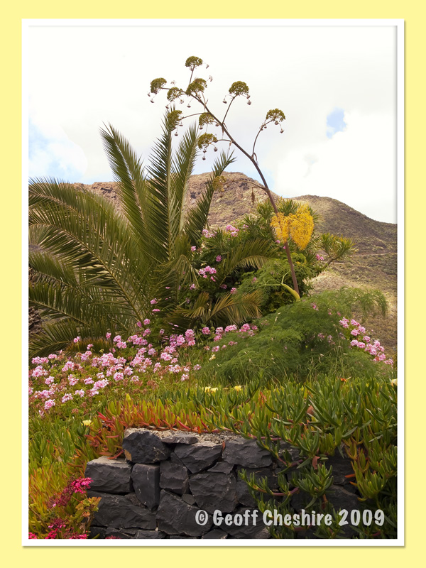 Masca (6)