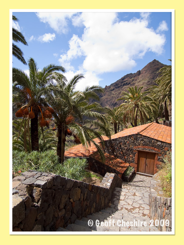 Masca (5)