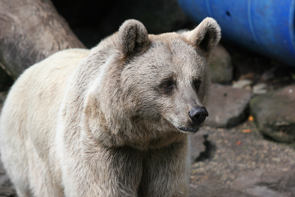 Melbourne Zoo