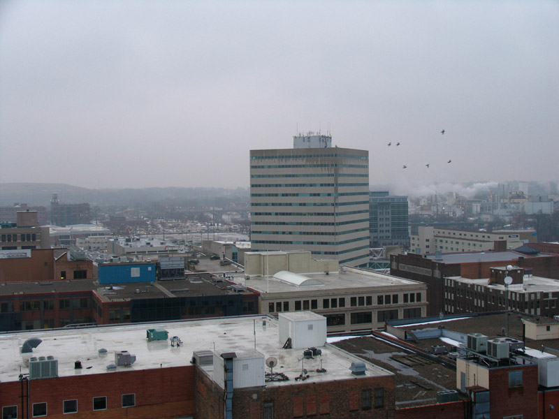 _MG_8174.jpg