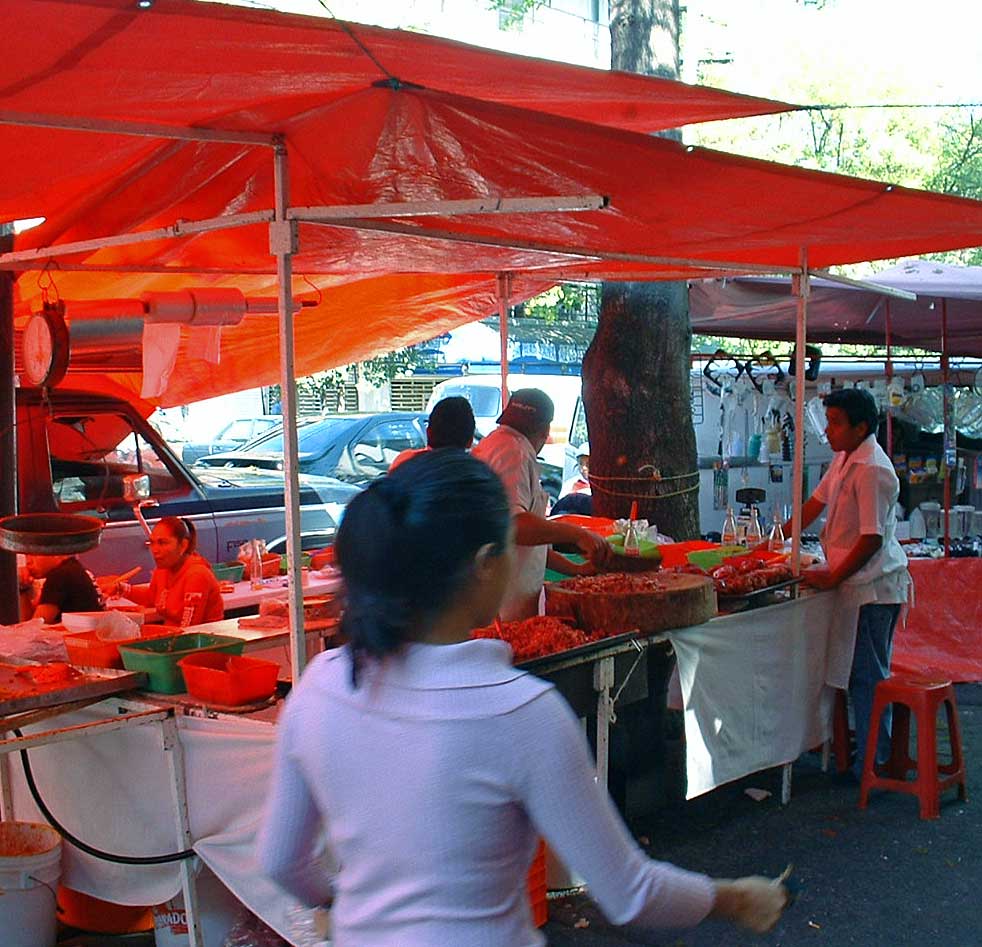 Barbacoa stand, Col. Roma, Mxico, DF