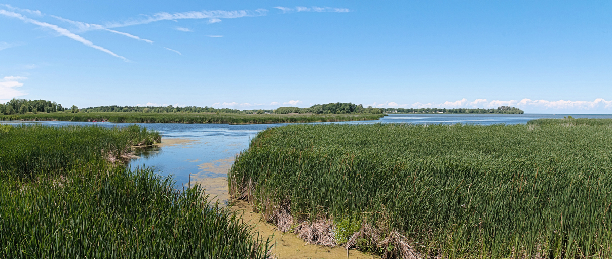 Braddocks Bay