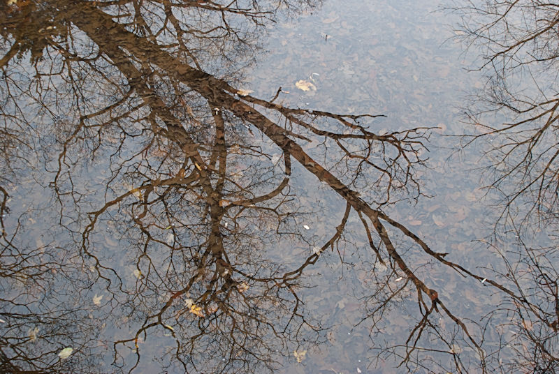 water I