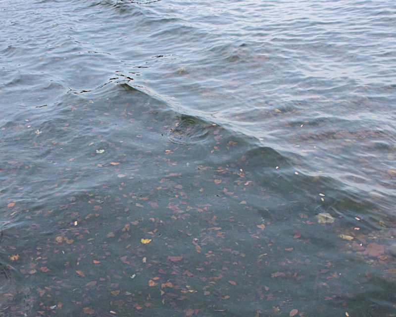 water II