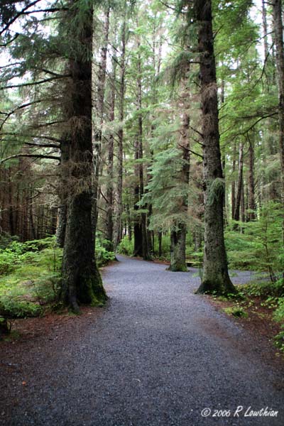 Park Path