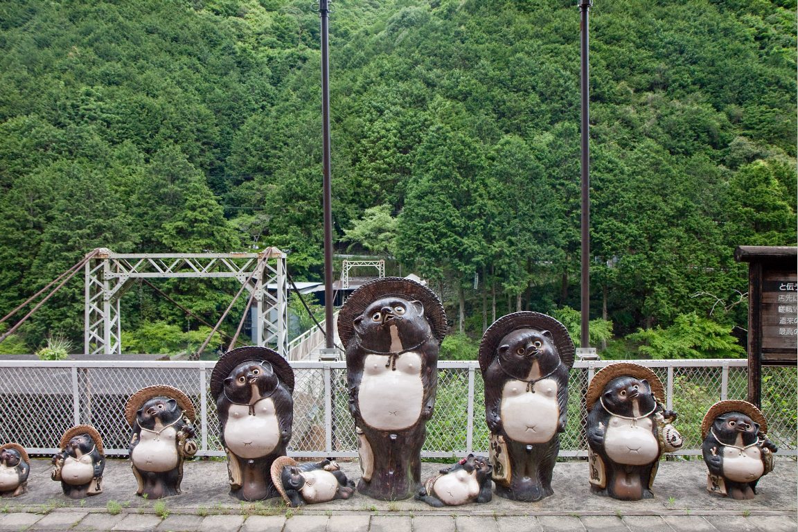 Racoon Dogs</br><big>狸</big>