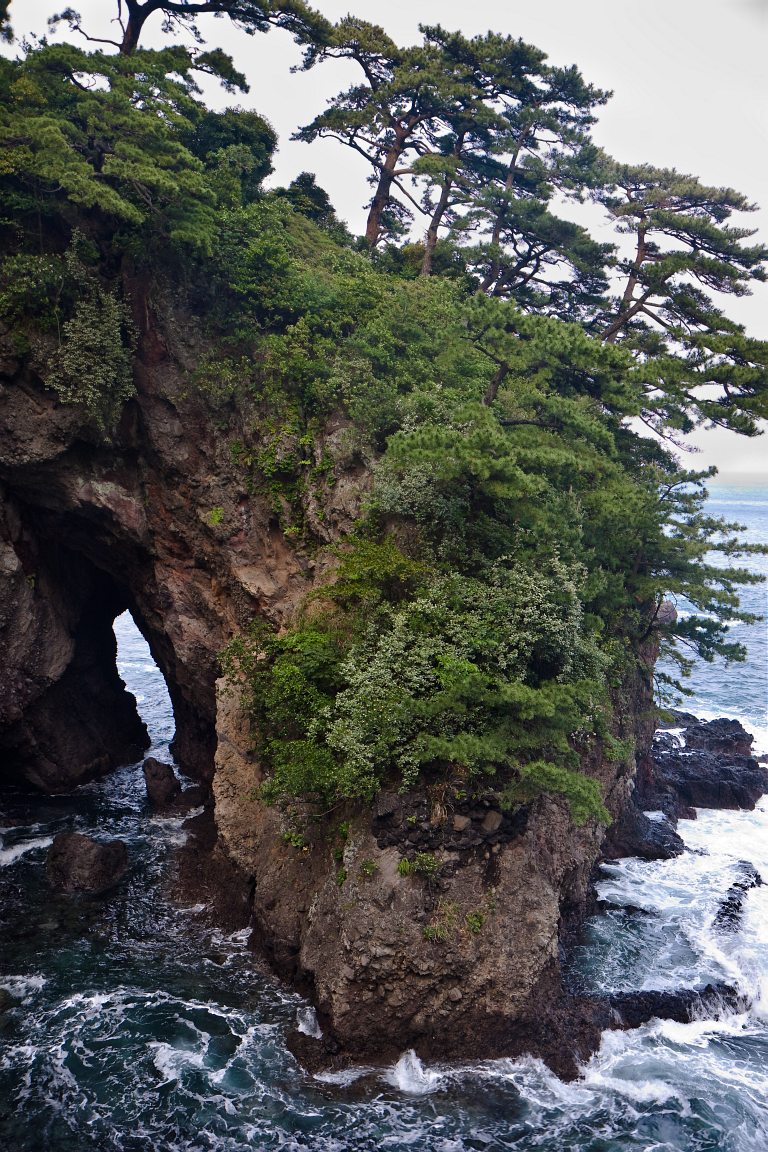 Cove