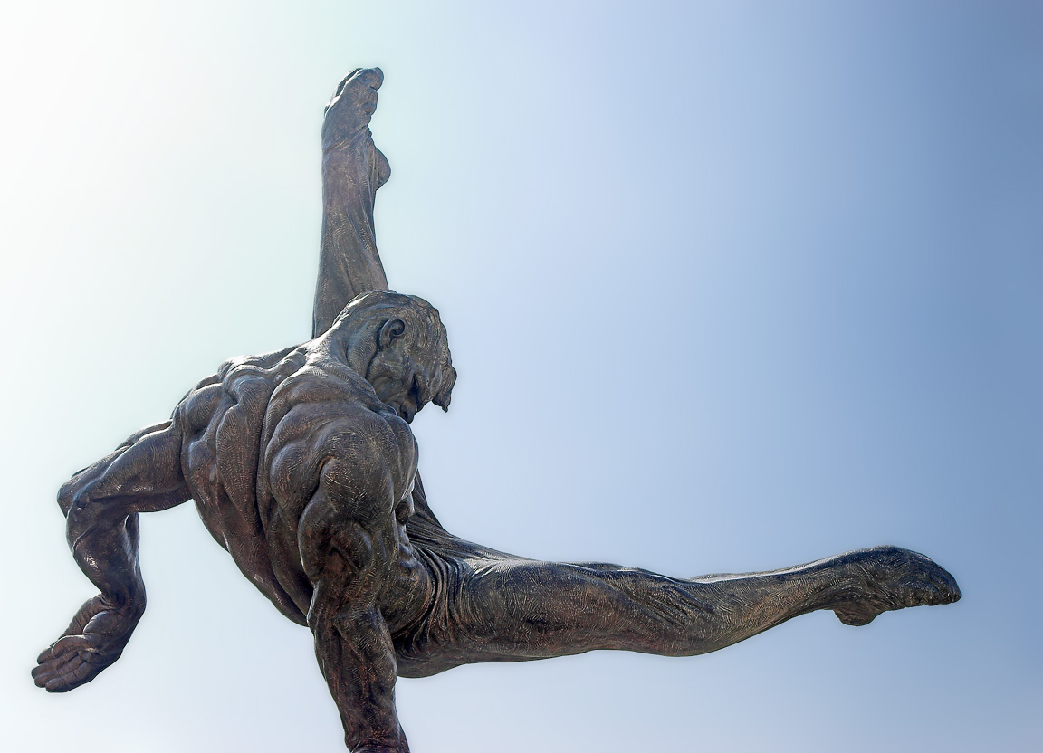 The Gymnast
