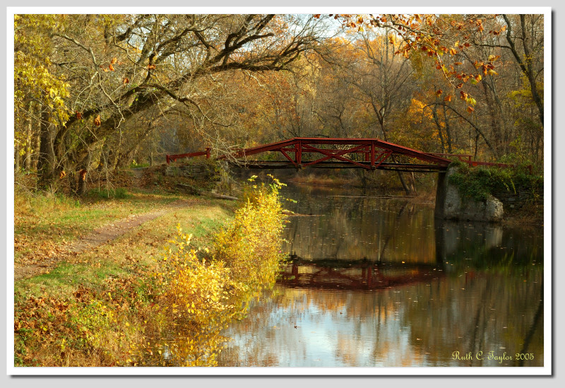 Late Afternoon in Autumn