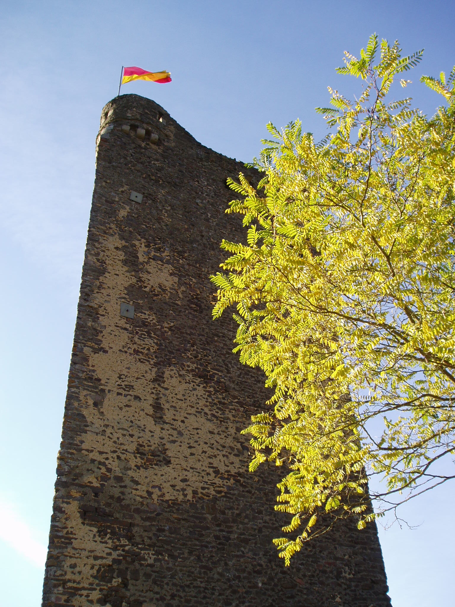 Tower and tree